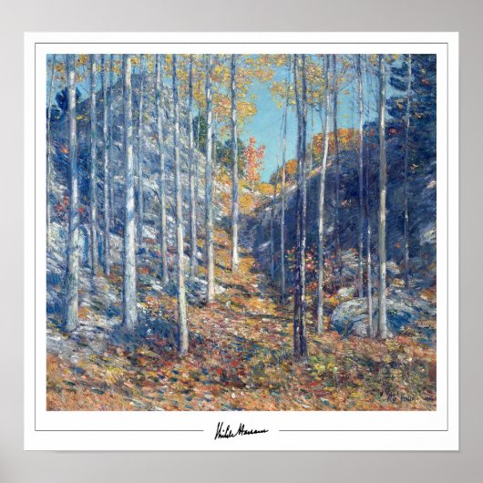 Childe Hassam Zedign Kunstposter #359 Poster (Voorkant)