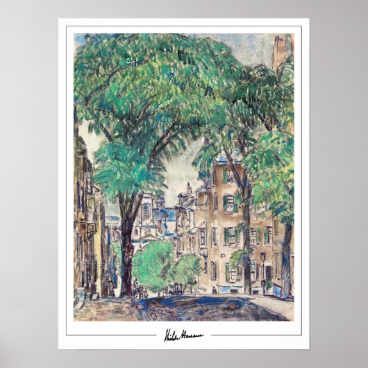 Childe Hassam Zedign Kunstposter #375 Poster (Voorkant)