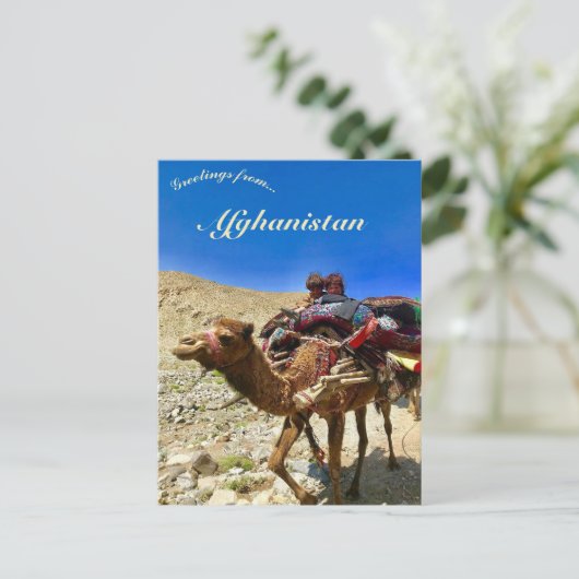 Children on a Camel in Herat Afghanistan Briefkaart (Staand voorkant)
