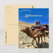 Children on a Camel in Herat Afghanistan Briefkaart (Voorkant / Achterkant)