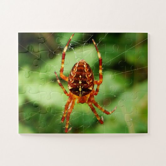 Children's Spider Puzzle Legpuzzel (Horizontaal)