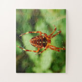 Children's Spider Puzzle Legpuzzel (Verticaal)