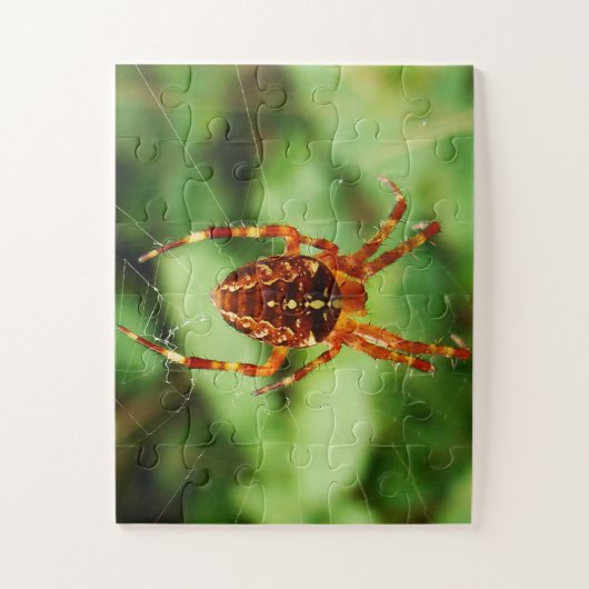 Children's Spider Puzzle Legpuzzel (Verticaal)