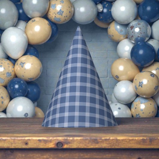 Child's Blue Gingham Birthday Feesthoedjes