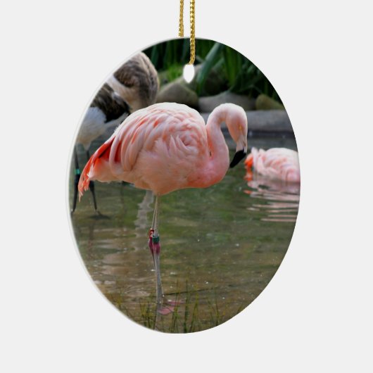 Chilean Flamingo Keramisch Ornament (Rechts)