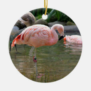 Chilean Flamingo Keramisch Ornament