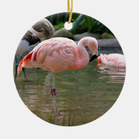 Chilean Flamingo Keramisch Ornament (Voorkant)