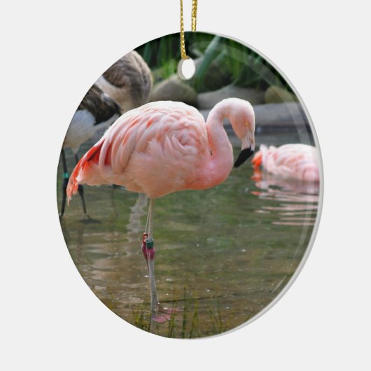 Chilean Flamingo Keramisch Ornament (Links)