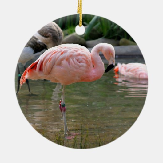 Chilean Flamingo Keramisch Ornament (Achterkant)
