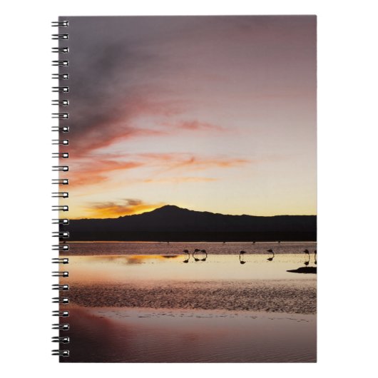 Chilean Flamingo Notitieboek (Voorkant)