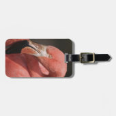 Chilean Flamingo, Phoenicopterus chilensis Bagagelabel (Voorkant horizontaal)