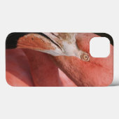 Chilean Flamingo, Phoenicopterus chilensis Case-Mate iPhone Case (Achterkant (horizontaal))