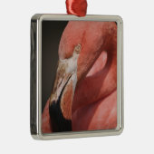 Chilean Flamingo, Phoenicopterus chilensis Metalen Ornament (Rechts)