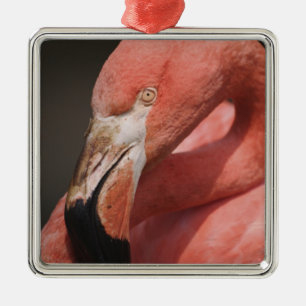 Chilean Flamingo, Phoenicopterus chilensis Metalen Ornament