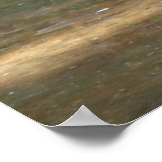 Chilean Flamingo Poster (Hoek)