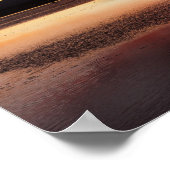 Chilean Flamingo Poster (Hoek)