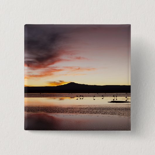 Chilean Flamingo Vierkante Button 5,1 Cm (Voorkant)