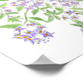 Chilean potato tree  poster (Hoek)