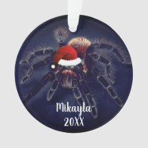 Chileens Roos Hair Tarantula in Santa Hat