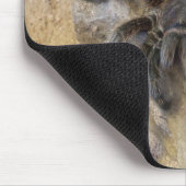 Chileens Roos Hair Tarantula Muismat (Hoek)