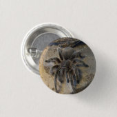 Chileens Roos Hair Tarantula Ronde Button 3,2 Cm (Voorkant /achterkant)
