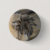 Chileens Roos Hair Tarantula Ronde Button 3,2 Cm (Voorkant)