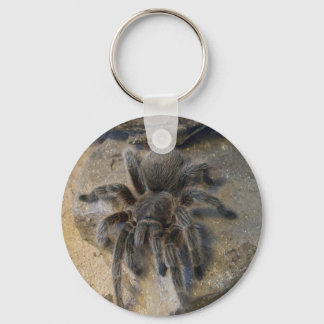 Chileens Roos Hair Tarantula Sleutelhanger