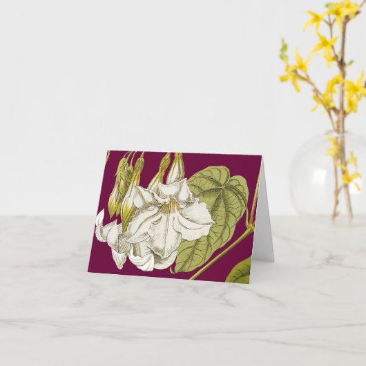 Chileense berg Jasmine Note Kaart (Gele Bloem)