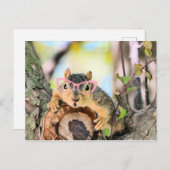 Chileense eekhoorn briefkaart (Voorkant / Achterkant)