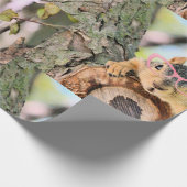 Chileense eekhoorn cadeaupapier (Hoek)