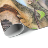 Chileense eekhoorn cadeaupapier (Rol Hoek)