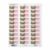 Chileense eekhoorn etiket (Full Sheet)