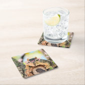 Chileense eekhoorn kartonnen onderzetters (Insitu)