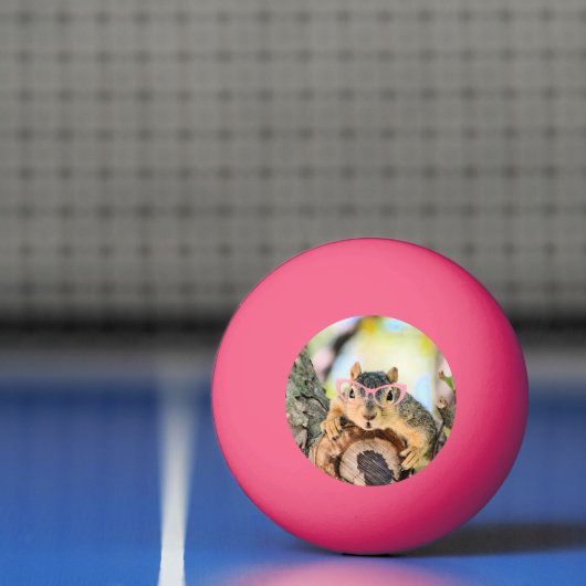 Chileense eekhoorn pingpongbal (Net)