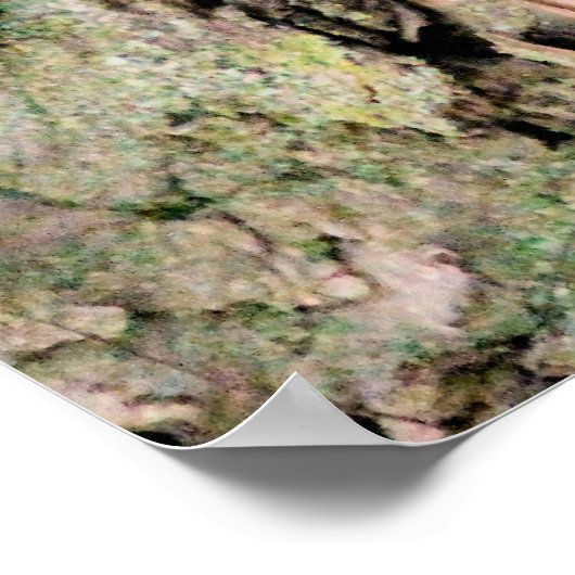 Chileense eekhoorn poster (Hoek)