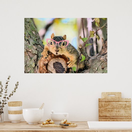 Chileense eekhoorn poster (Keuken)