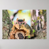 Chileense eekhoorn poster (Voorkant)