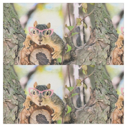 Chileense eekhoorn stof (Close Up)