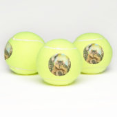 Chileense eekhoorn tennisballen (Multi)