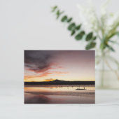 Chileense Flamingo Briefkaart (Staand voorkant)