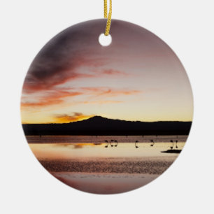 Chileense Flamingo Keramisch Ornament