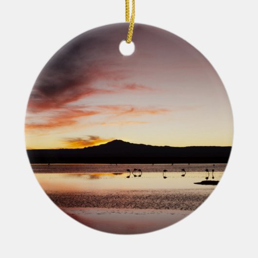 Chileense Flamingo Keramisch Ornament (Voorkant)