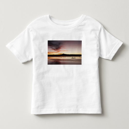 Chileense Flamingo Kinder Shirts (Voorkant)