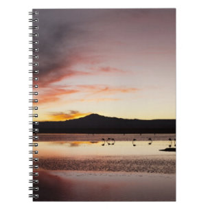 Chileense Flamingo Notitieboek