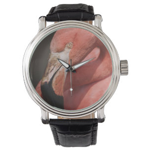 Chileense Flamingo, Phoenicopterus chilensis Horloge