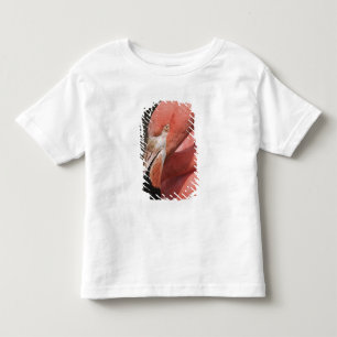 Chileense Flamingo, Phoenicopterus chilensis Kinder Shirts