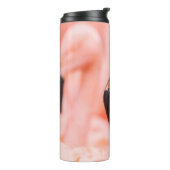 Chileense flamingo (Phoenicopterus chilensis), met Thermosbeker (Gedraaid links)