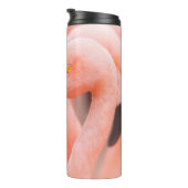 Chileense flamingo (Phoenicopterus chilensis), met Thermosbeker (Geroteerd rechts)