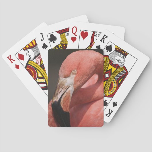 Chileense Flamingo, Phoenicopterus chilensis Pokerkaarten (Achterkant)