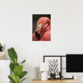 Chileense Flamingo, Phoenicopterus chilensis Poster (Thuiskantoor)